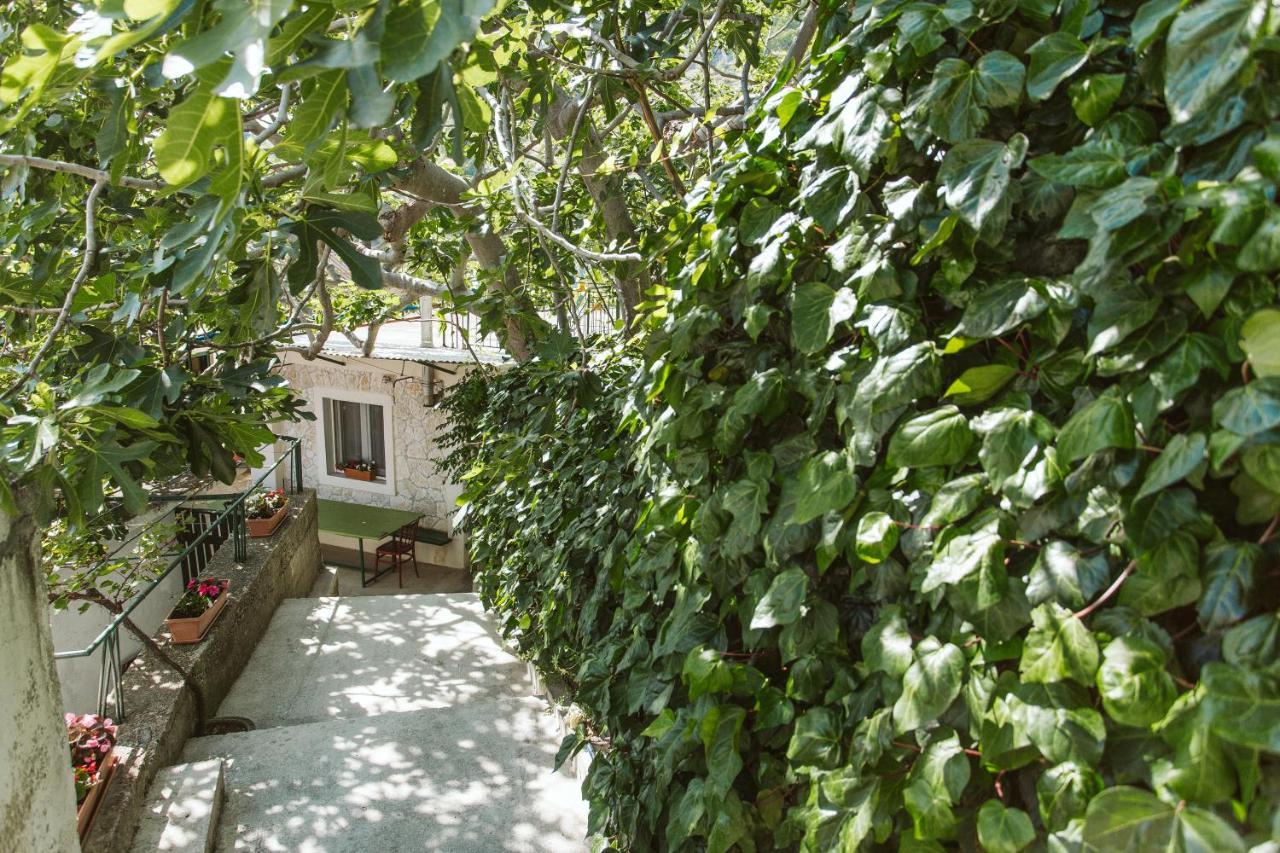 Apartment Kuzmanic Локва Рогозница Екстериор снимка
